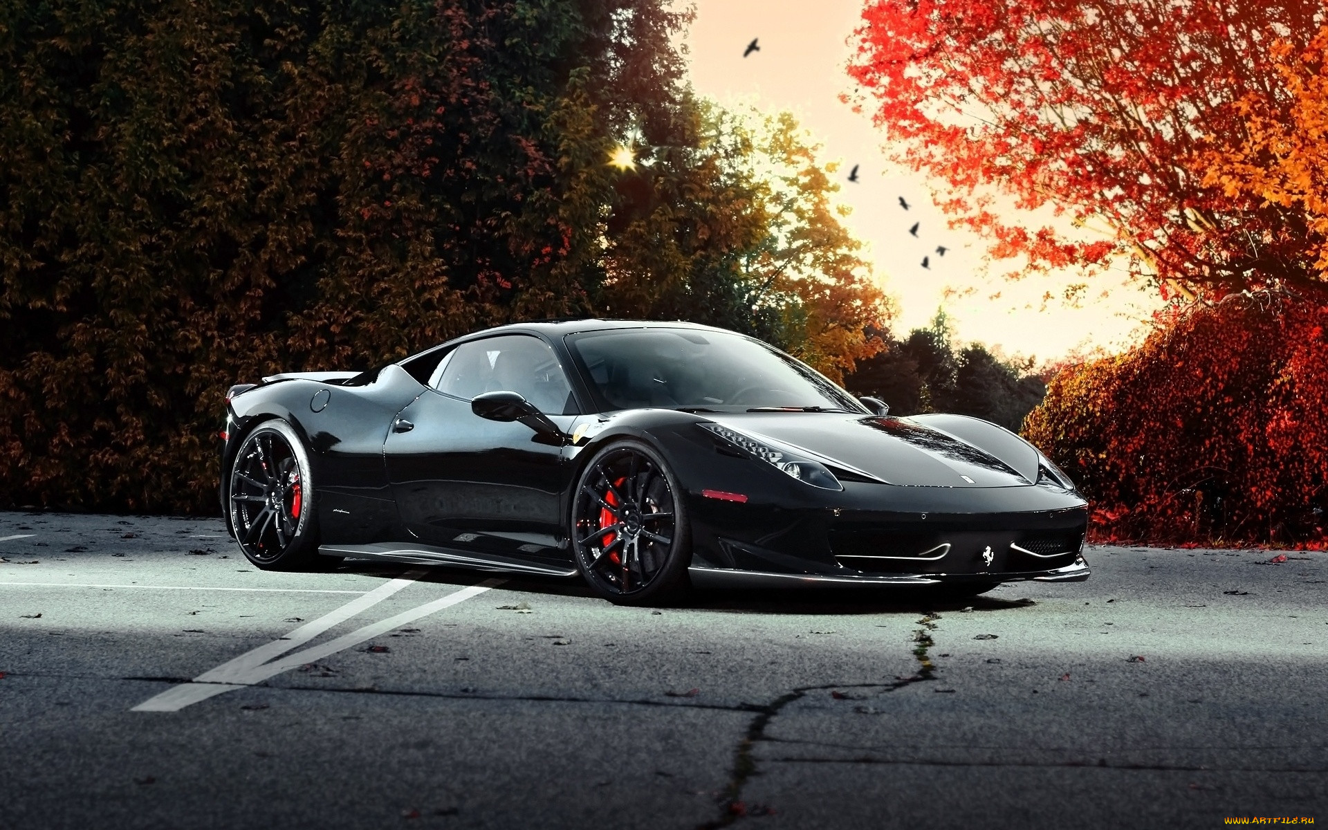 , ferrari, , 